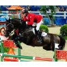 Breyer Traditional 1:9 - Hickstead Olympic Show Jumper