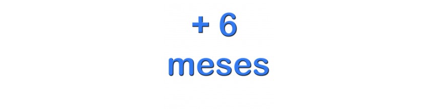 + 6 Meses